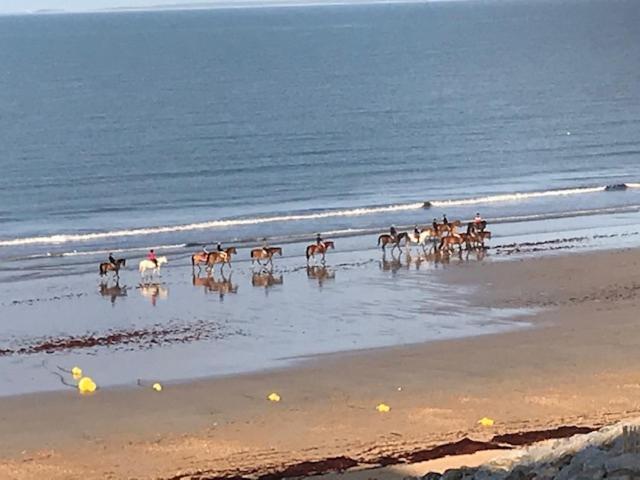 סנט-אילר-דה-רייה Vue Sur Mer Proche De St Jean De Monts מראה חיצוני תמונה